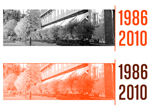 1986-2010