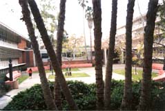 Universidad de California, Los Ángeles