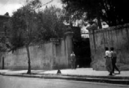 Instituto Luis Vives Instituto Luis Vives