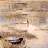Ramón Gaya, Sin título (Vista de Florencia), 1952. Acuarela sobre papel, 22,5 x 30 cm. Fundación María Zambrano, Vélez-Málaga.