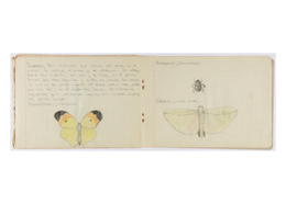 Cuaderno de excursiones de geología, zoología y botánica de Dionisio Fernández Fernández, alumno del Instituto-Escuela, 1925-1926