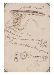 Pío del Río-Hortega, «Para el mejor conocimiento histológico de los meningoexoteliomas», separata de Archivos Españoles de Oncología, vol. I, núm. 83, Madrid