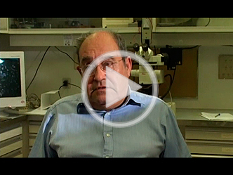 Antonio García Bellido