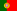 portugués