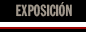 exposición