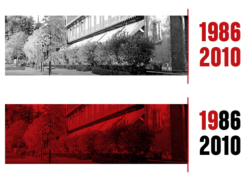 1986-2010